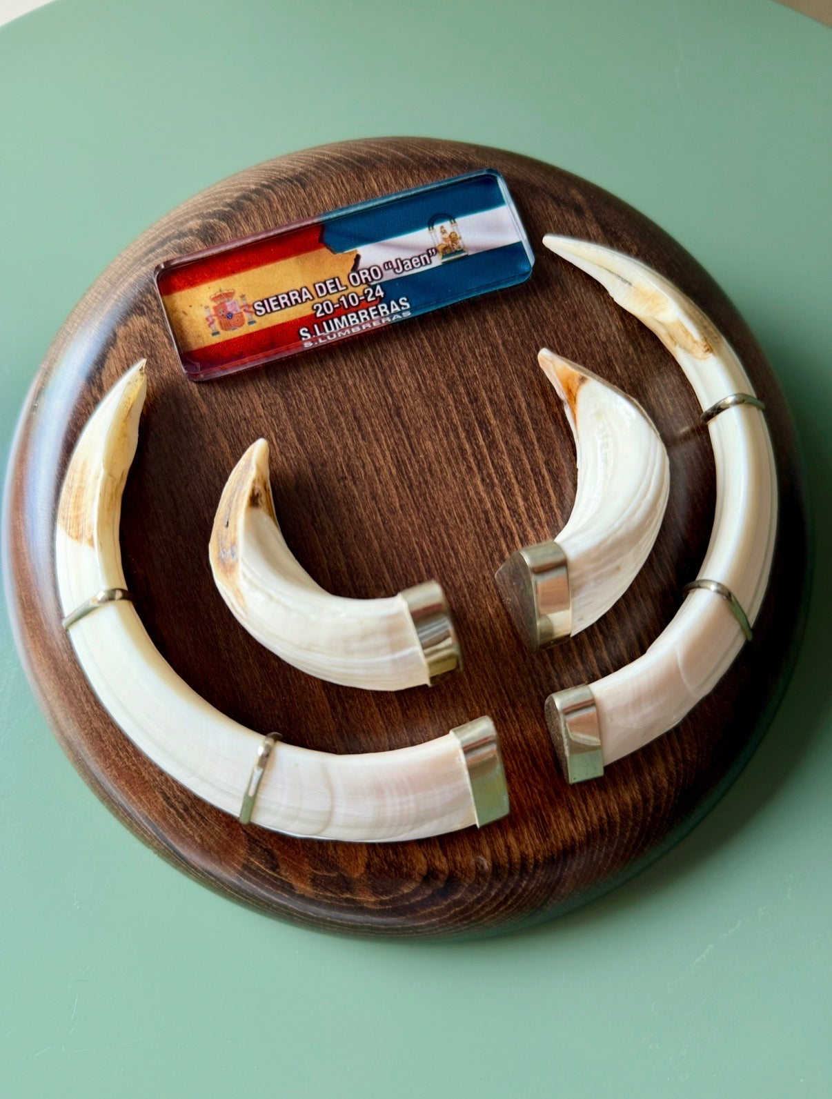 Chapa personalizada con foto para Taxidermia - Placa exclusiva para trofeos de caza.