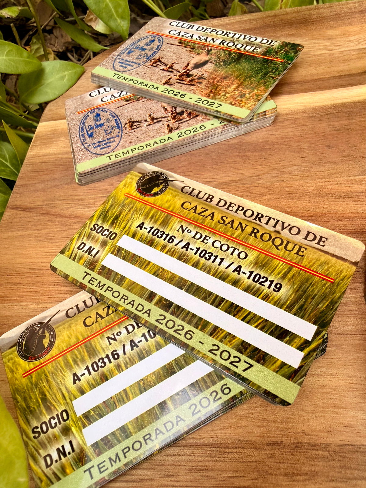 Tarjetas Personalizadas