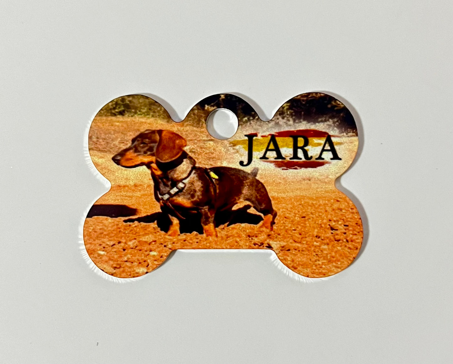 1. Chapa Mascota